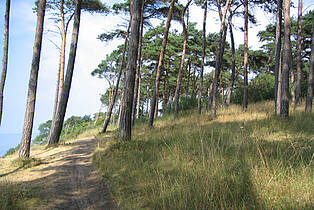 Ostseebad Boltenhagen